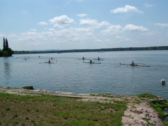 DSCF7228 (Medium)